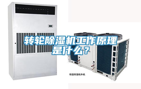 轉輪蘑菇视频网站工作原理是什麽？