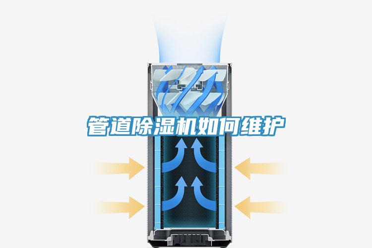 管道蘑菇视频网站如何維護