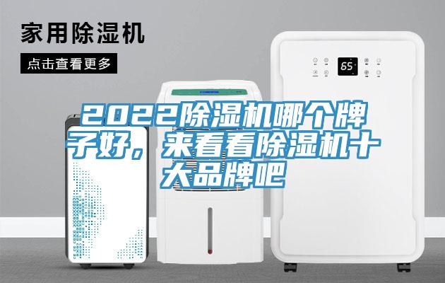 2022蘑菇视频网站哪個牌子好，來看看蘑菇视频网站十大品牌吧