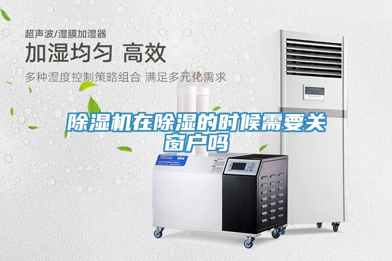 蘑菇视频网站在除濕的時候需要關窗戶嗎