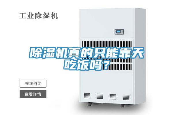 蘑菇视频网站真的隻能靠天吃飯嗎？