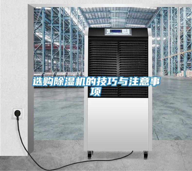 選購蘑菇视频网站的技巧與注意事項