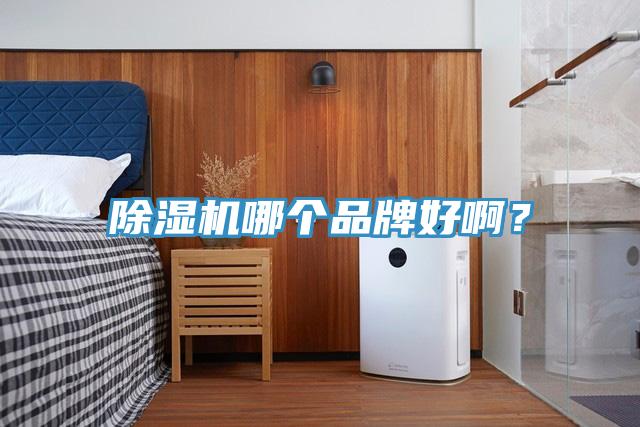 蘑菇视频网站哪個品牌好啊？