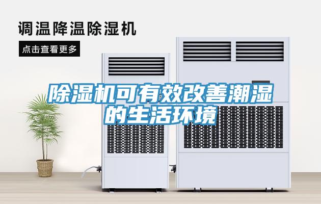蘑菇视频网站可有效改善潮濕的生活環境