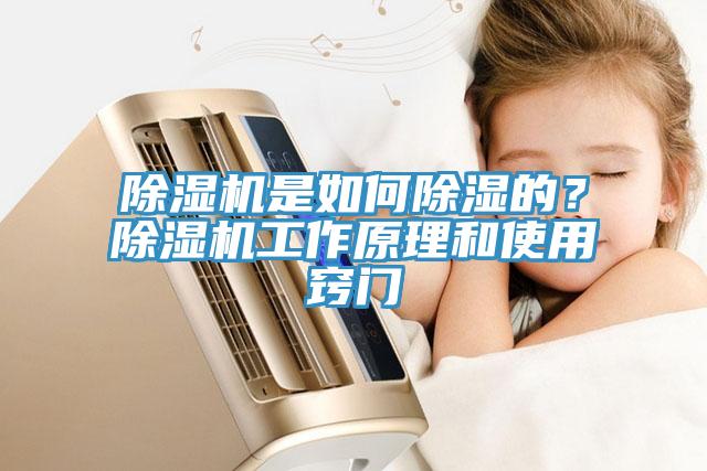 蘑菇视频网站是如何除濕的？蘑菇视频网站工作原理和使用竅門