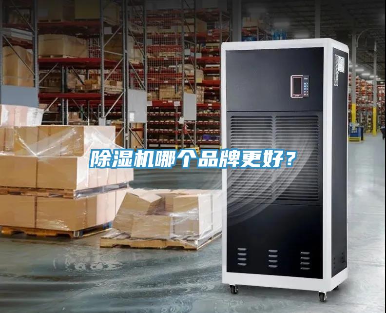 蘑菇视频网站哪個品牌更好？