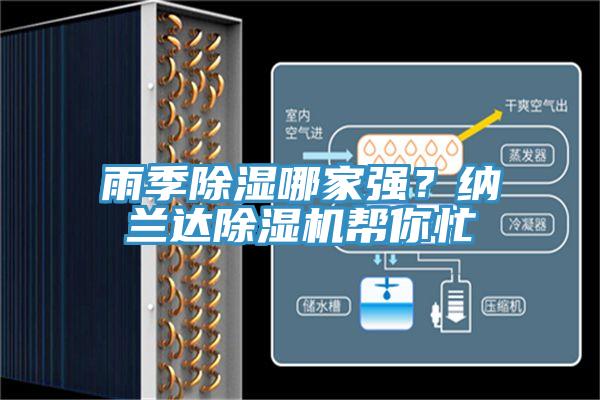 雨季除濕哪家強？納蘭達蘑菇视频网站幫你忙
