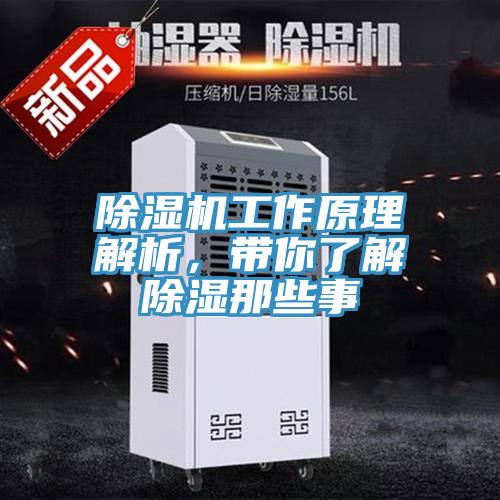 蘑菇视频网站工作原理解析，帶你了解除濕那些事