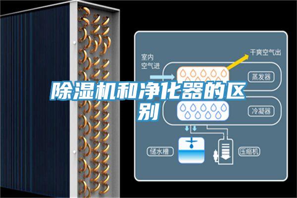 蘑菇视频网站和淨化器的區別