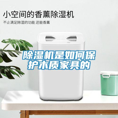 蘑菇视频网站是如何保護木質家具的