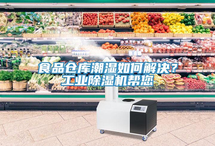 食品倉庫潮濕如何解決？工業蘑菇视频网站幫您