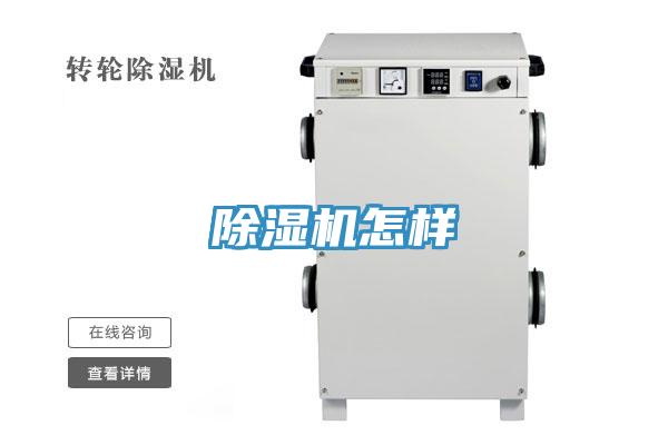 蘑菇视频网站怎樣