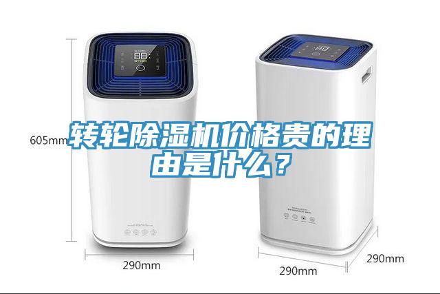 轉輪蘑菇视频网站價格貴的理由是什麽？