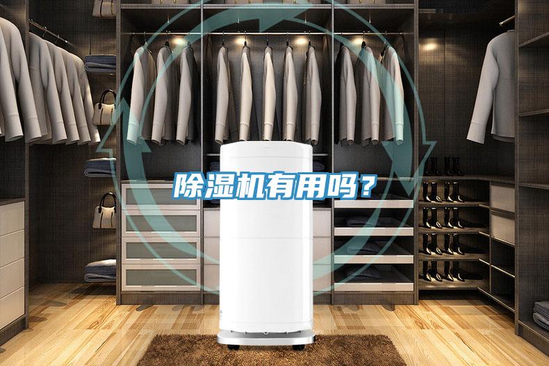 蘑菇视频网站有用嗎？