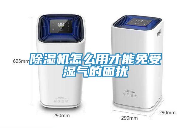 蘑菇视频网站怎麽用才能免受濕氣的困擾