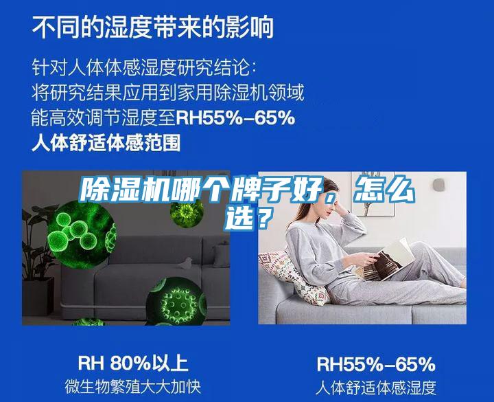 蘑菇视频网站哪個牌子好，怎麽選？