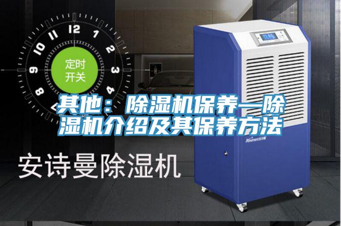 其他：蘑菇视频网站保養—蘑菇视频网站介紹及其保養方法