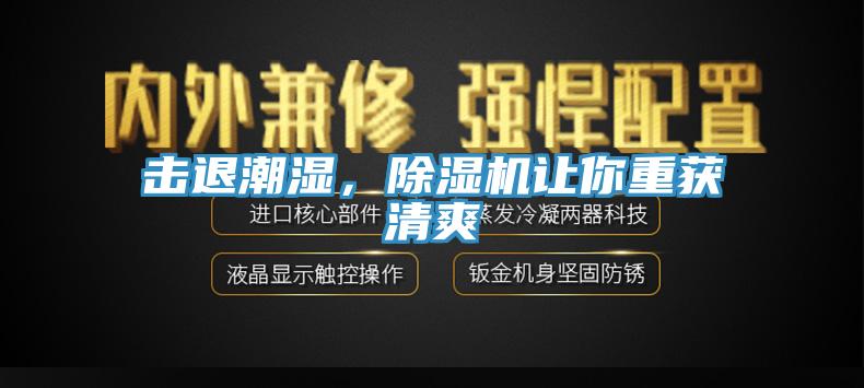 擊退潮濕，蘑菇视频网站讓你重獲清爽