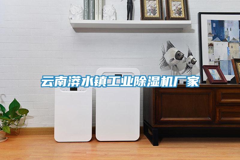 雲南漭水鎮工業蘑菇视频网站廠家