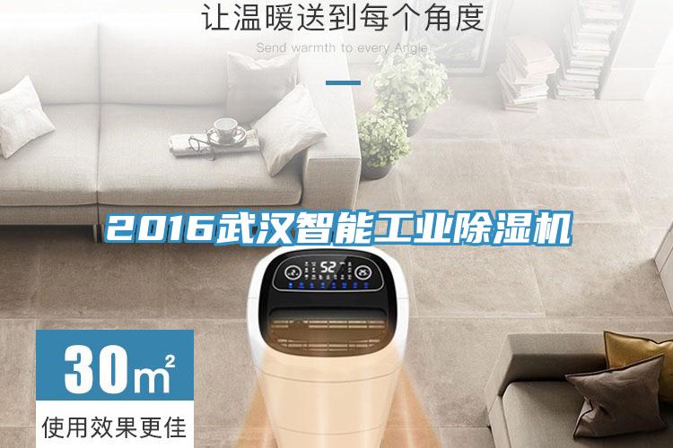 2016武漢智能工業蘑菇视频网站