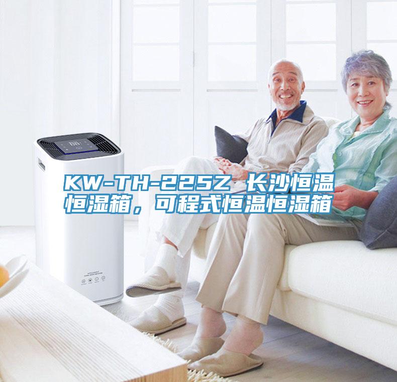 KW-TH-225Z 長沙恒溫恒濕箱，可程式恒溫恒濕箱
