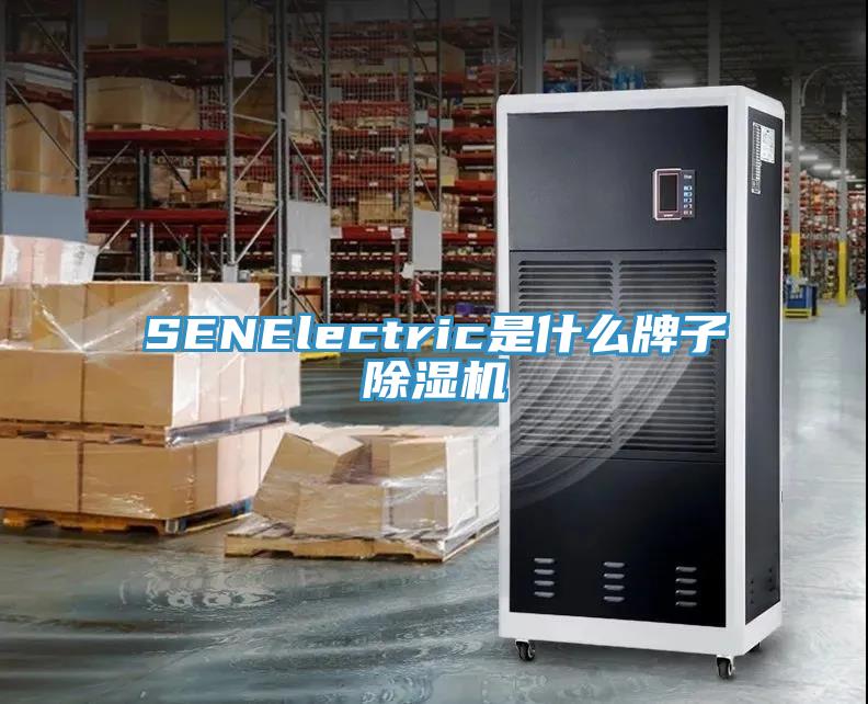 SENElectric是什麽牌子蘑菇视频网站