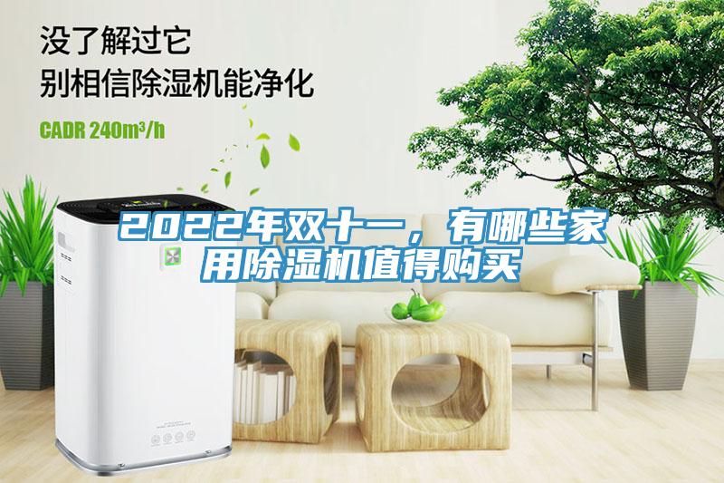 2022年雙十一，有哪些家用蘑菇视频网站值得購買
