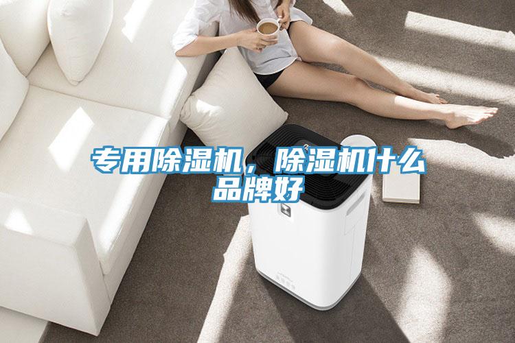 專用蘑菇视频网站，蘑菇视频网站什麽品牌好