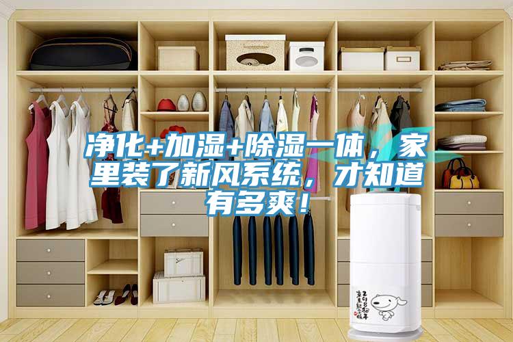 淨化+加濕+除濕一體，家裏裝了新風係統，才知道有多爽！