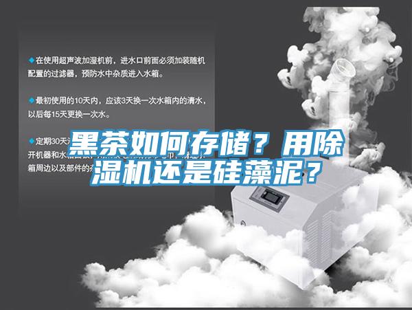 黑茶如何存儲？用蘑菇视频网站還是矽藻泥？