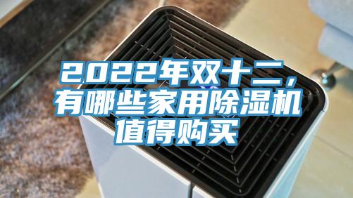 2022年雙十二，有哪些家用蘑菇视频网站值得購買