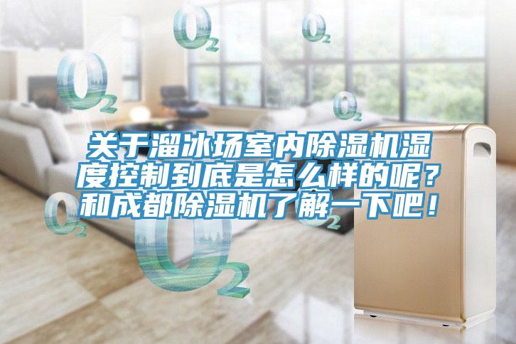 關於溜冰場室內蘑菇视频网站濕度控製到底是怎麽樣的呢？和成都蘑菇视频网站了解一下吧！
