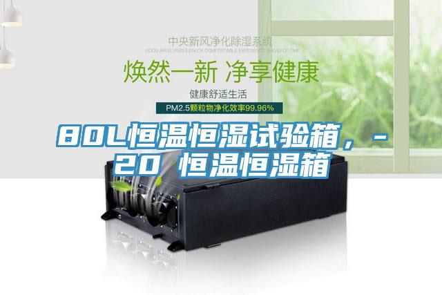 80L恒溫恒濕試驗箱，-20℃恒溫恒濕箱