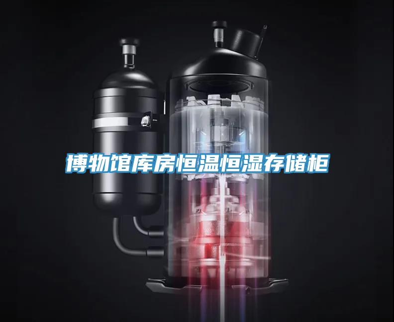 博物館庫房恒溫恒濕存儲櫃