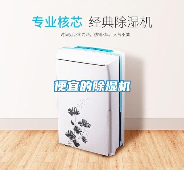 便宜的蘑菇视频网站