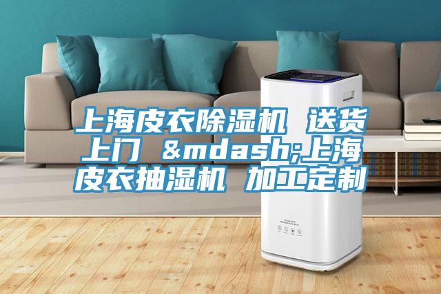 上海皮衣蘑菇视频网站 送貨上門 —上海皮衣抽濕機 加工定製