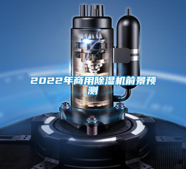 2022年商用蘑菇视频网站前景預測