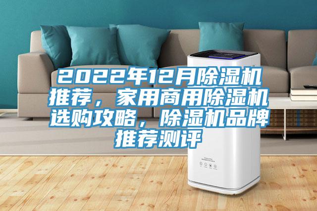 2022年12月蘑菇视频网站推薦，家用商用蘑菇视频网站選購攻略，蘑菇视频网站品牌推薦測評