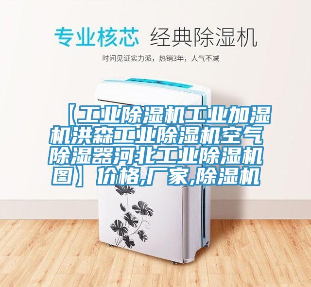 【工業蘑菇视频网站工業加濕機洪森工業蘑菇视频网站空氣除濕器河北工業蘑菇视频网站圖】價格,廠家,蘑菇视频网站