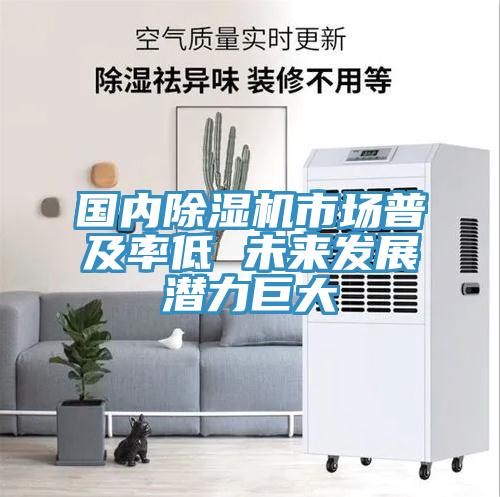 國內蘑菇视频网站市場普及率低 未來發展潛力巨大