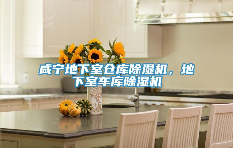 鹹寧地下室倉庫蘑菇视频网站，地下室車庫蘑菇视频网站