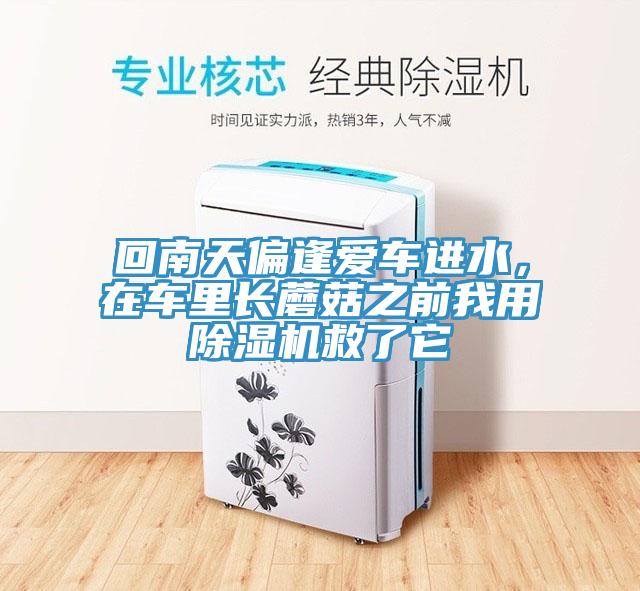 回南天偏逢愛車進水，在車裏長蘑菇之前我用蘑菇视频网站救了它