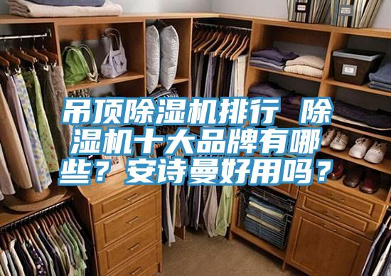 吊頂蘑菇视频网站排行 蘑菇视频网站十大品牌有哪些？蘑菇官方网站下载入口安卓好用嗎？
