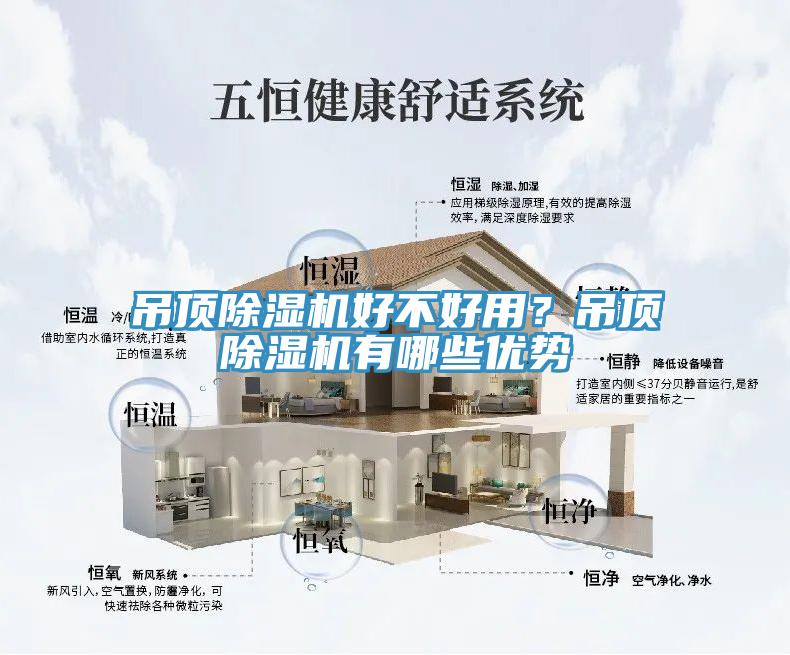 吊頂蘑菇视频网站好不好用？吊頂蘑菇视频网站有哪些優勢