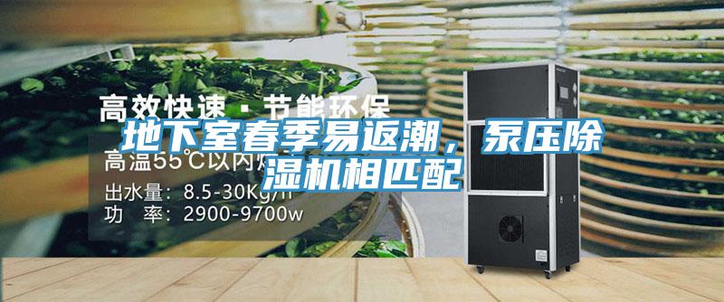 地下室春季易返潮，泵壓蘑菇视频网站相匹配