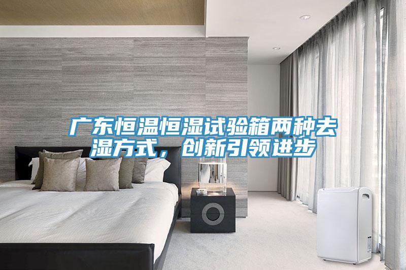 廣東恒溫恒濕試驗箱兩種去濕方式，創新引領進步