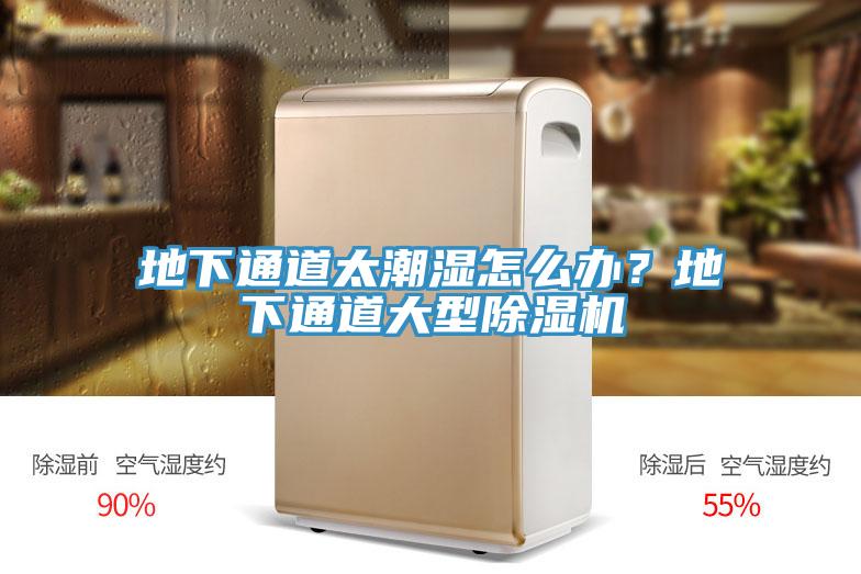 地下通道太潮濕怎麽辦？地下通道大型蘑菇视频网站