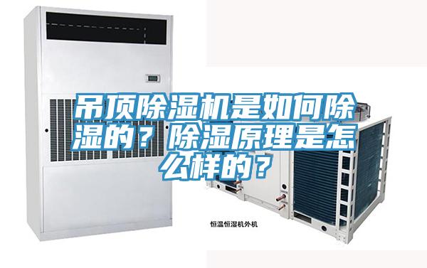 吊頂蘑菇视频网站是如何除濕的？除濕原理是怎麽樣的？
