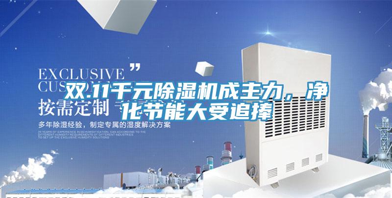 雙.11千元蘑菇视频网站成主力，淨化節能大受追捧