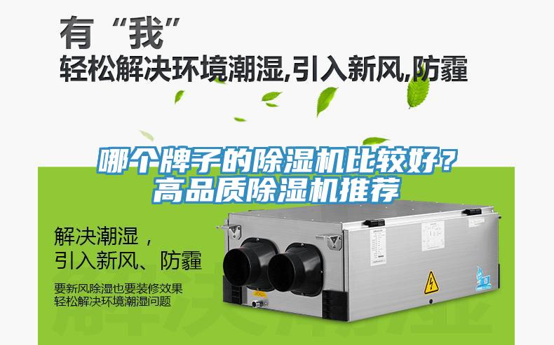 哪個牌子的蘑菇视频网站比較好？高品質蘑菇视频网站推薦